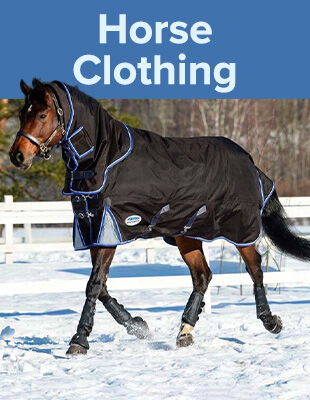 Horse Clothing